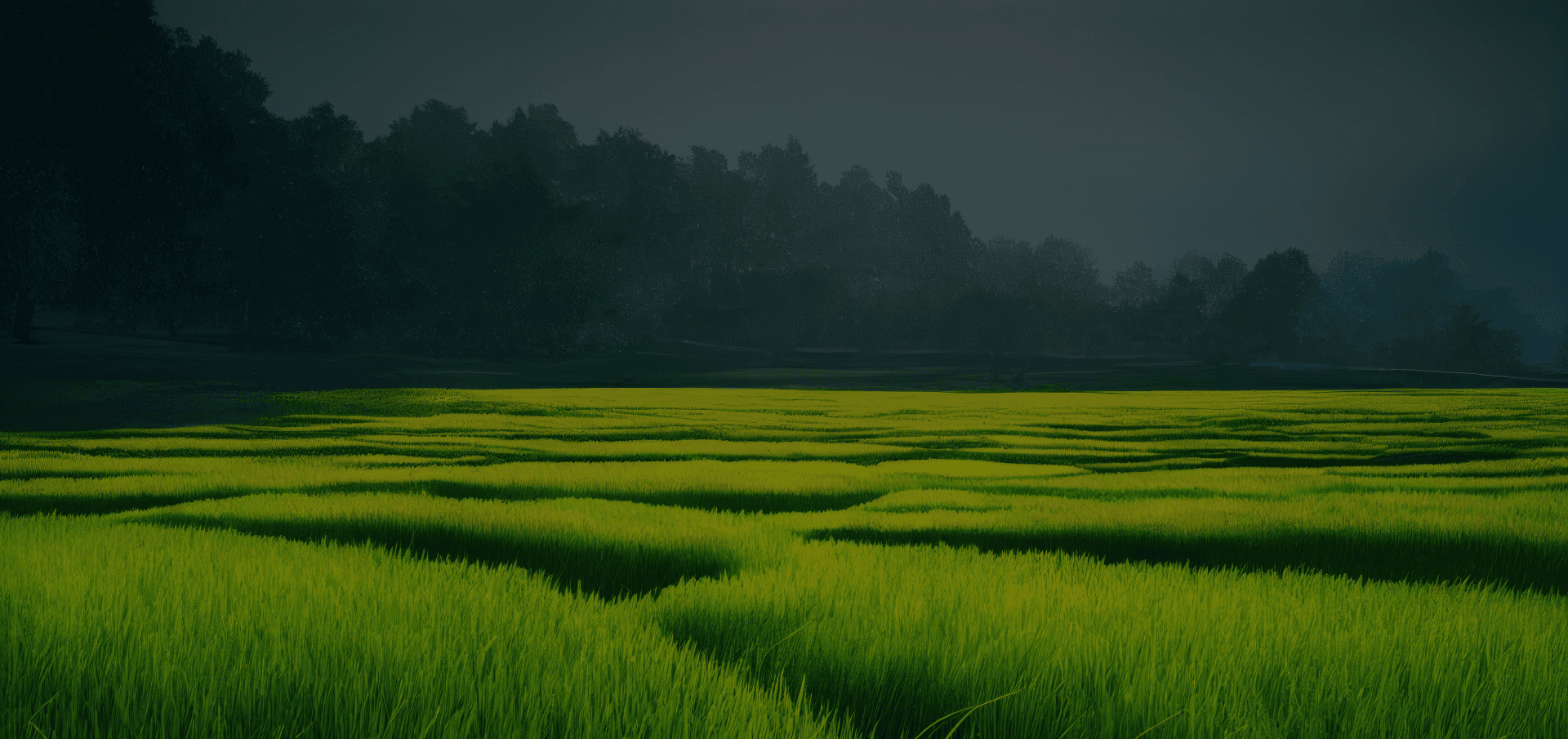Images of agrity products used in farming
