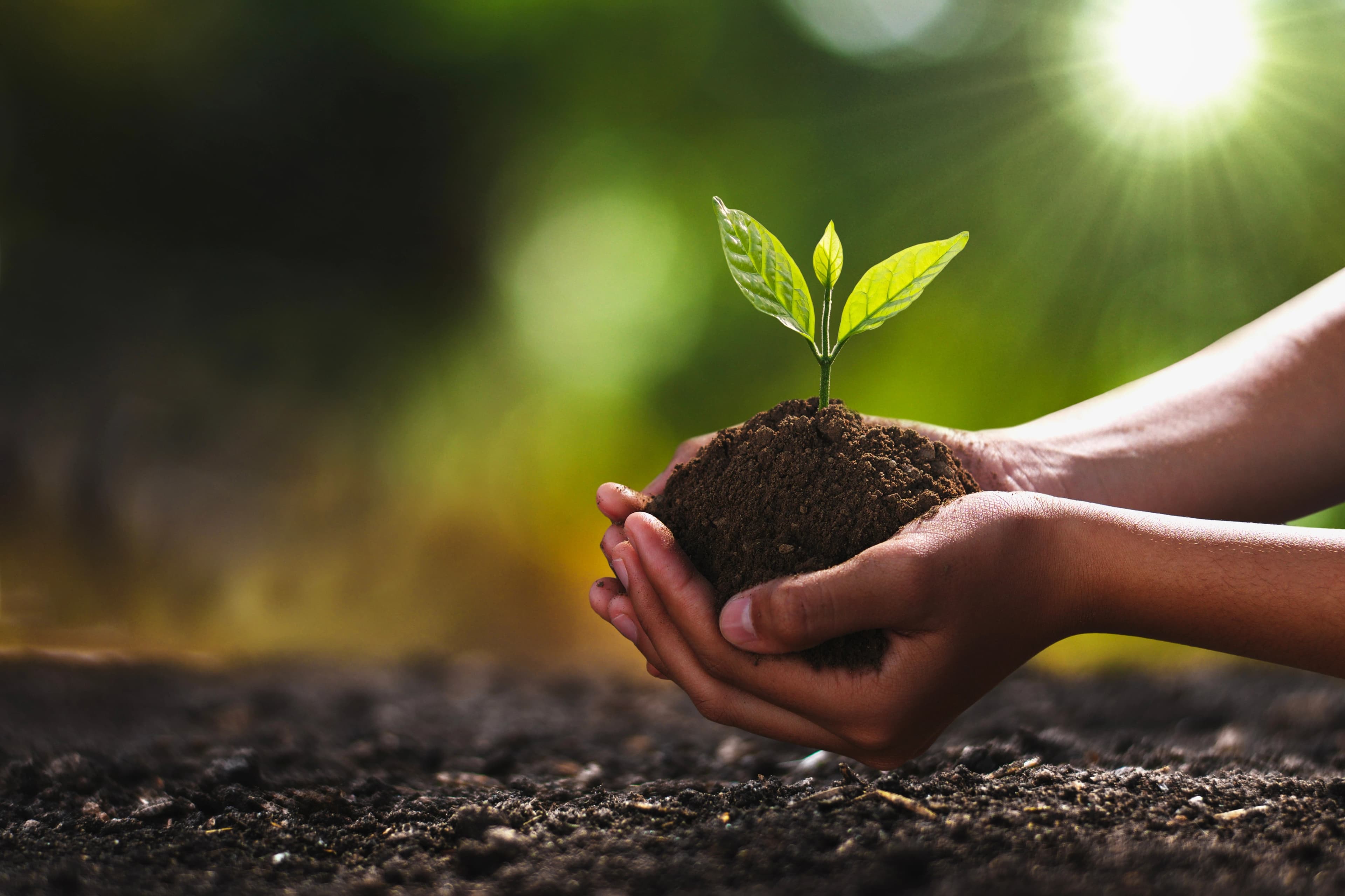 Images of AGRITY CROP SCIENCE products used in farming